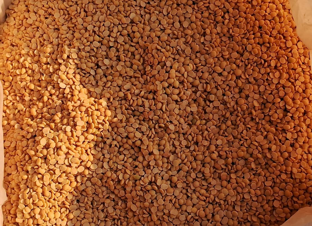 Premium Lentils